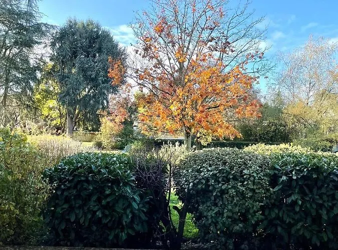 Moderne Proche Gare Angers